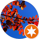 Tramy Chan profile picture